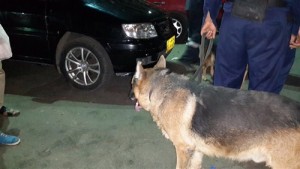 صورة ارشيفية