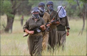 مقاتلو حزب العمل الكردستاني