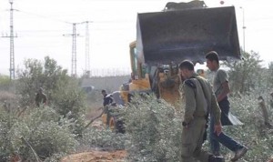 الاحتلال يصادر الاراضي-ارشيفية