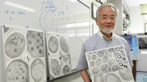 يوشينوري أوسومي