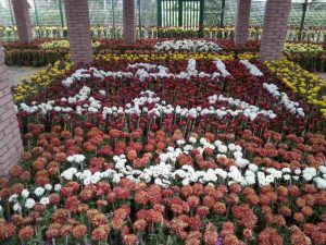  مختارة من صفحة الفارس محمود عثمان على الفيس بوك