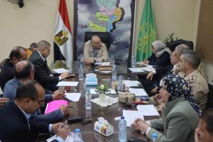 محافظ القليوبية