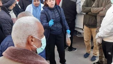 الزراعة تنفذ برنامجًا تدريبيًا للتحصين والسيطرة على الكلاب الضالة بشمال سيناء