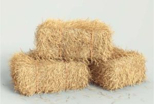 تفسير رؤية التبن في المنام 