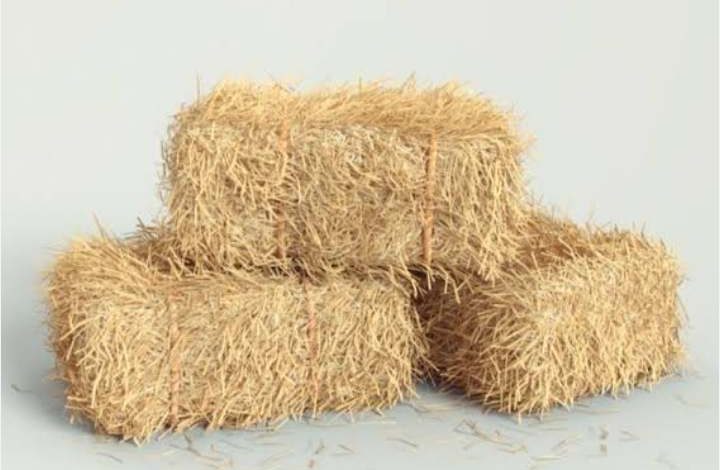 تفسير رؤية التبن في المنام