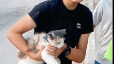 الشهيد إسلام مجارمة